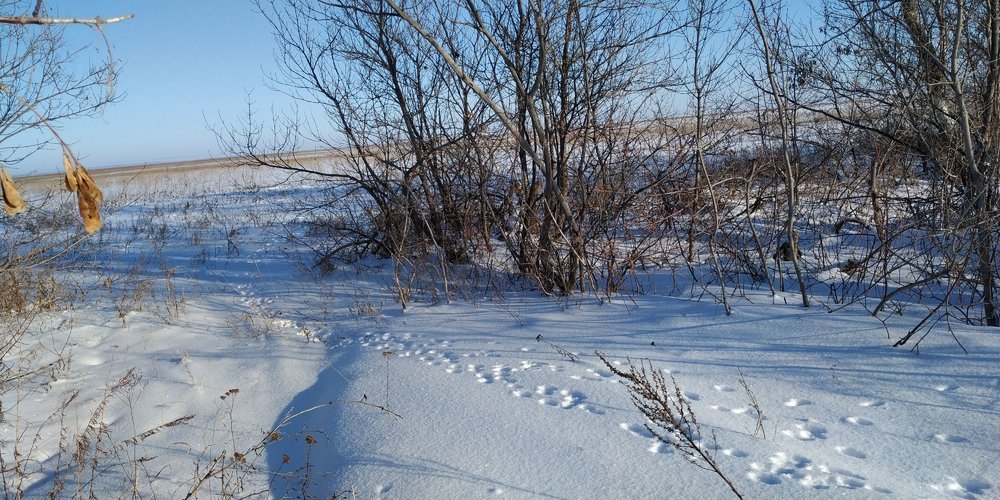 IMG-20191224-WA0011 (1).jpeg