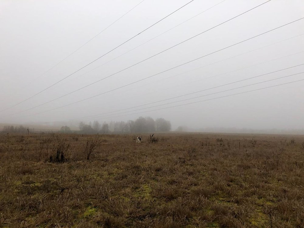 WhatsApp Image 2019-12-27 at 11.24.21.jpeg