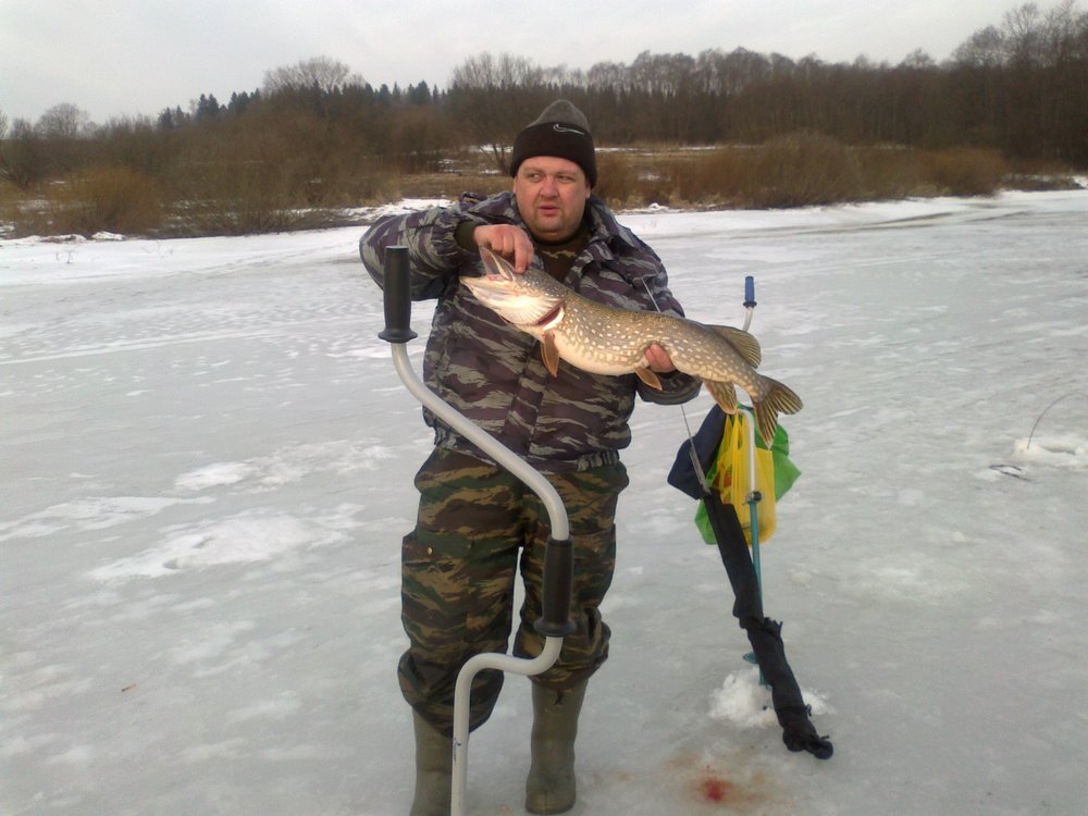 Изображение 180.jpg