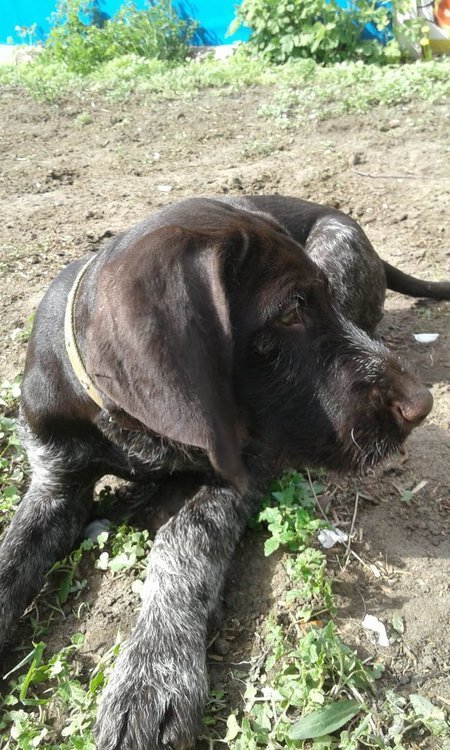 WhatsApp Image 2020-05-14 at 15.29.55 (2).jpeg