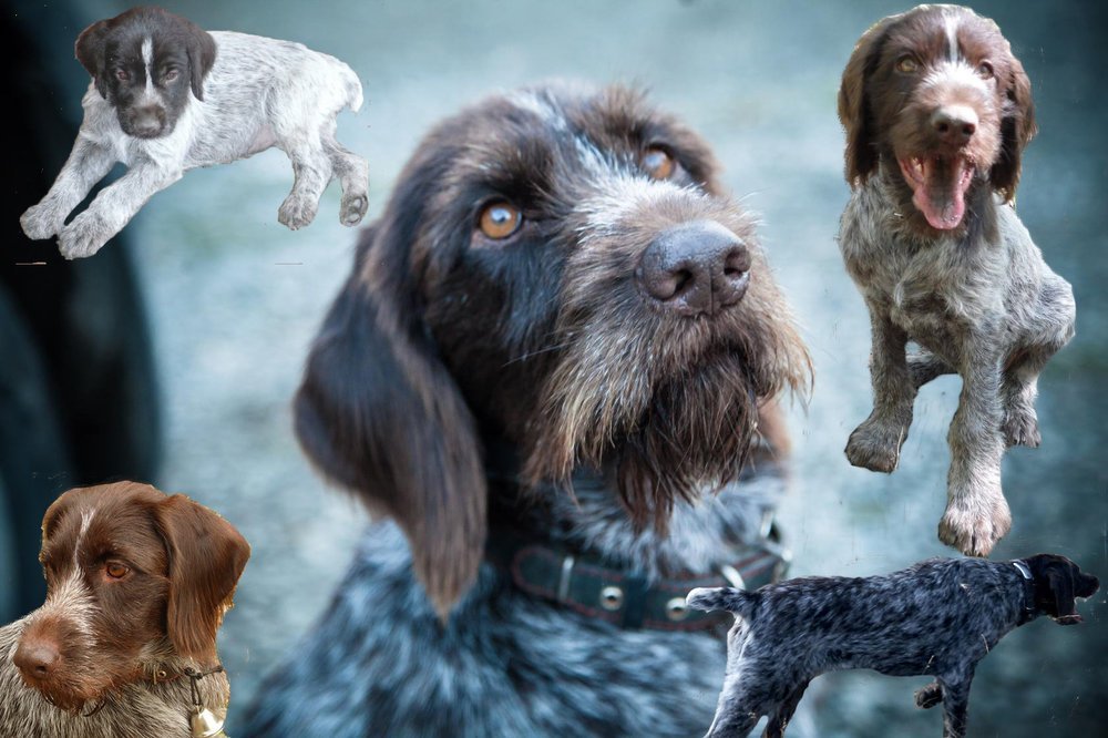 WSt5Am_VuUc копия.jpg