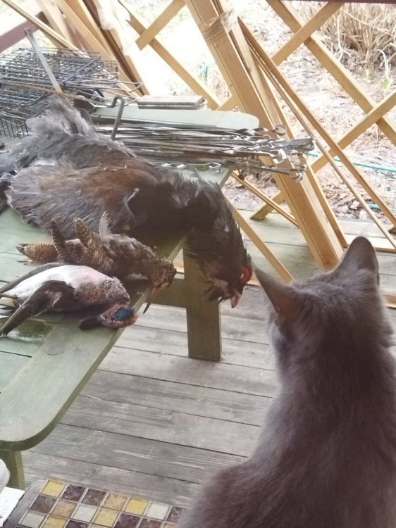 WhatsApp Image 2021-04-25 at 13.22.56.jpeg