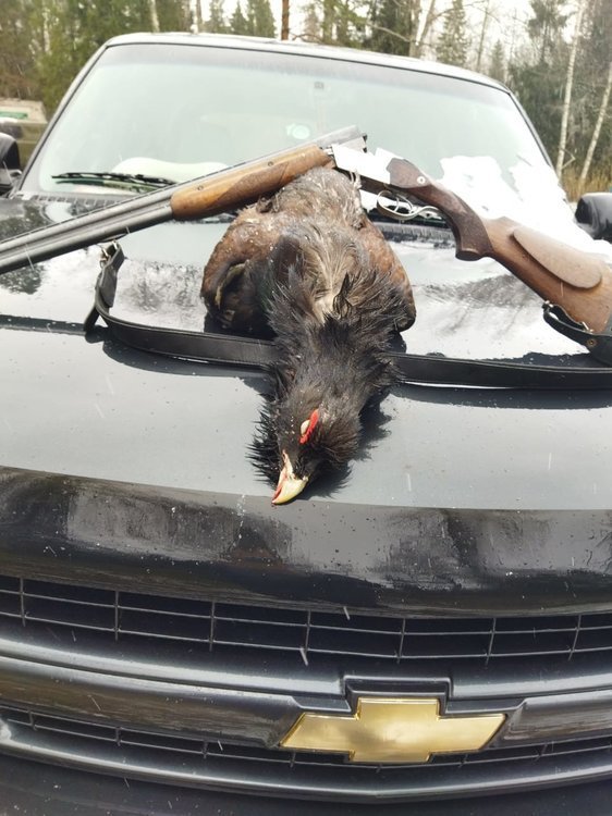 WhatsApp Image 2021-04-25 at 10.01.01.jpeg