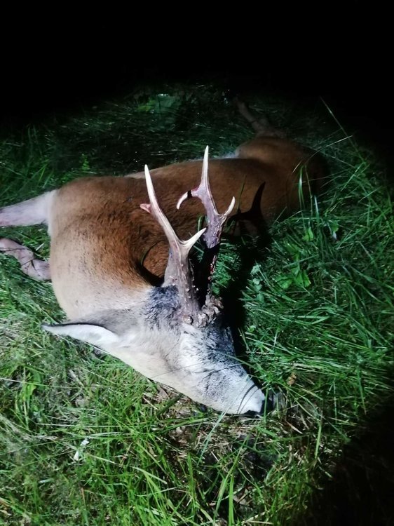 Акулич 11-07 троф.jpg