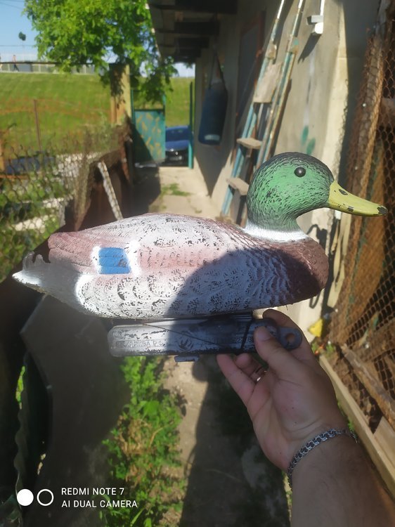 IMG_20210714_073130 (1).jpg