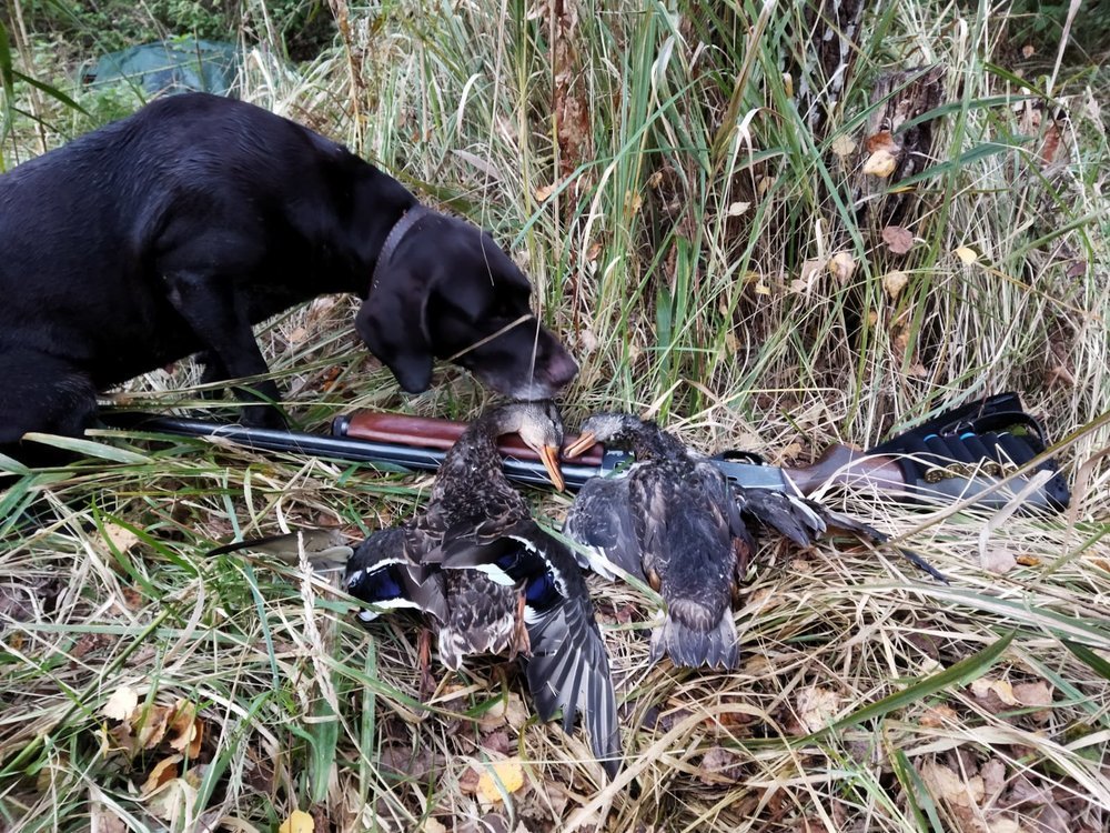 WhatsApp Image 2021-09-19 at 09.24.03.jpeg