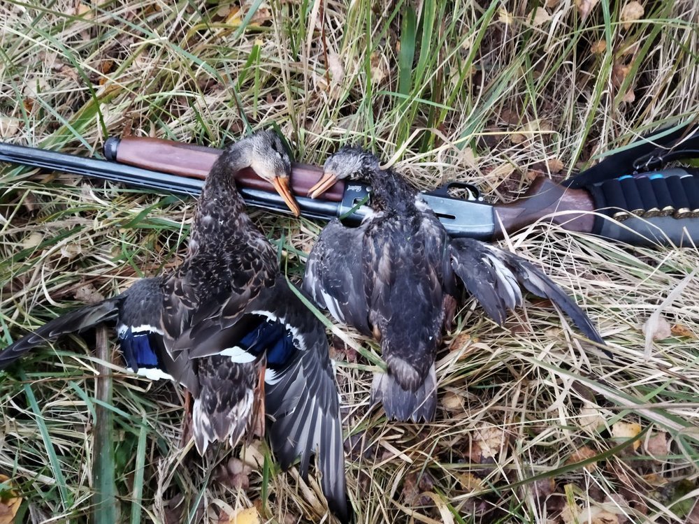 WhatsApp Image 2021-09-19 at 09.24.04.jpeg