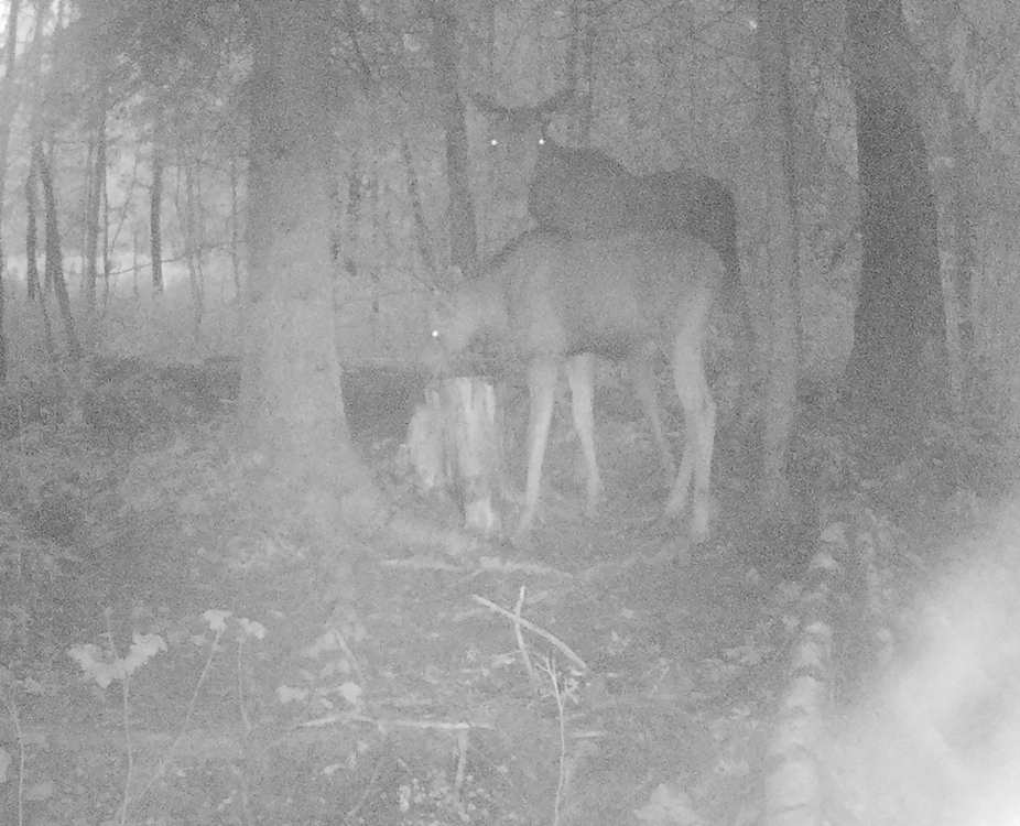 Снимок экрана (1).png