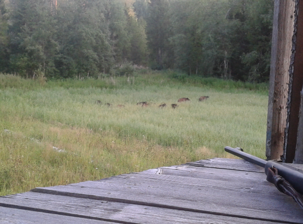 Снимок экрана (2).png