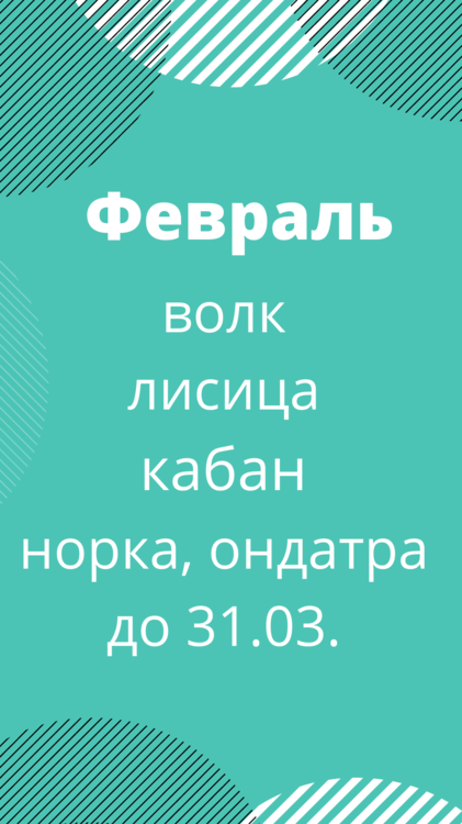 февраль.png
