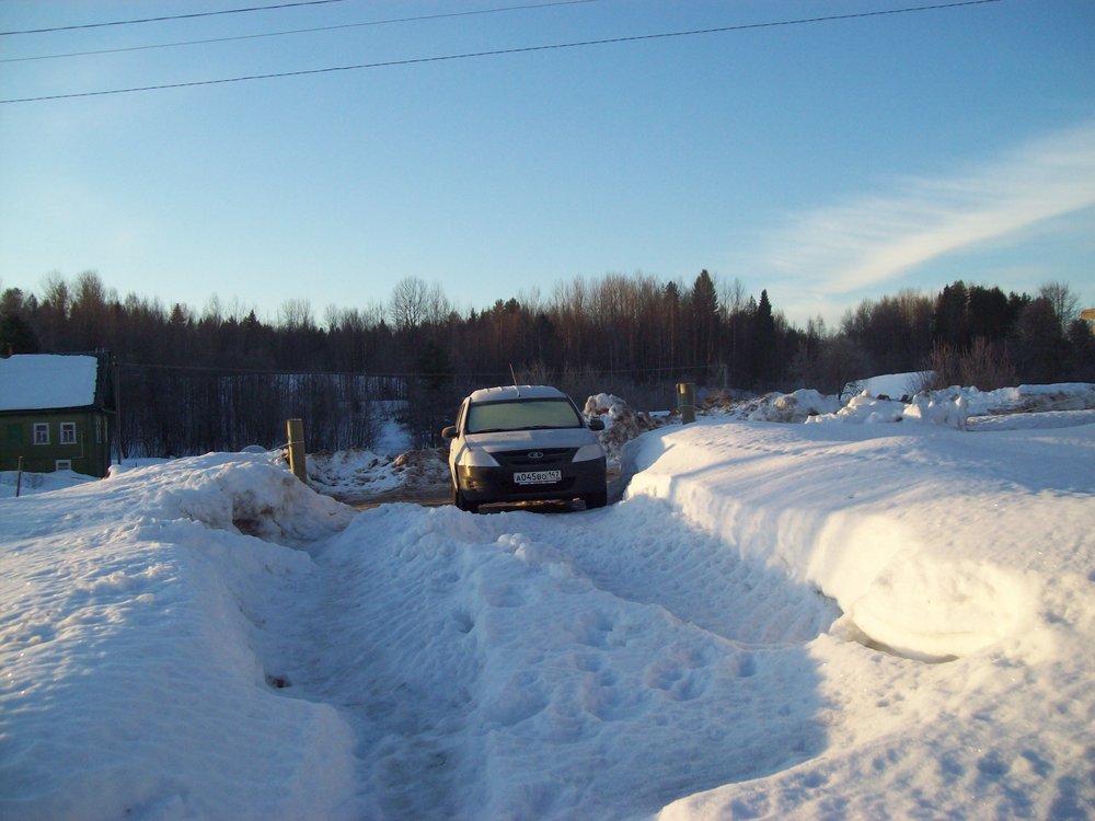 лосеубийца 20.03.22.JPG