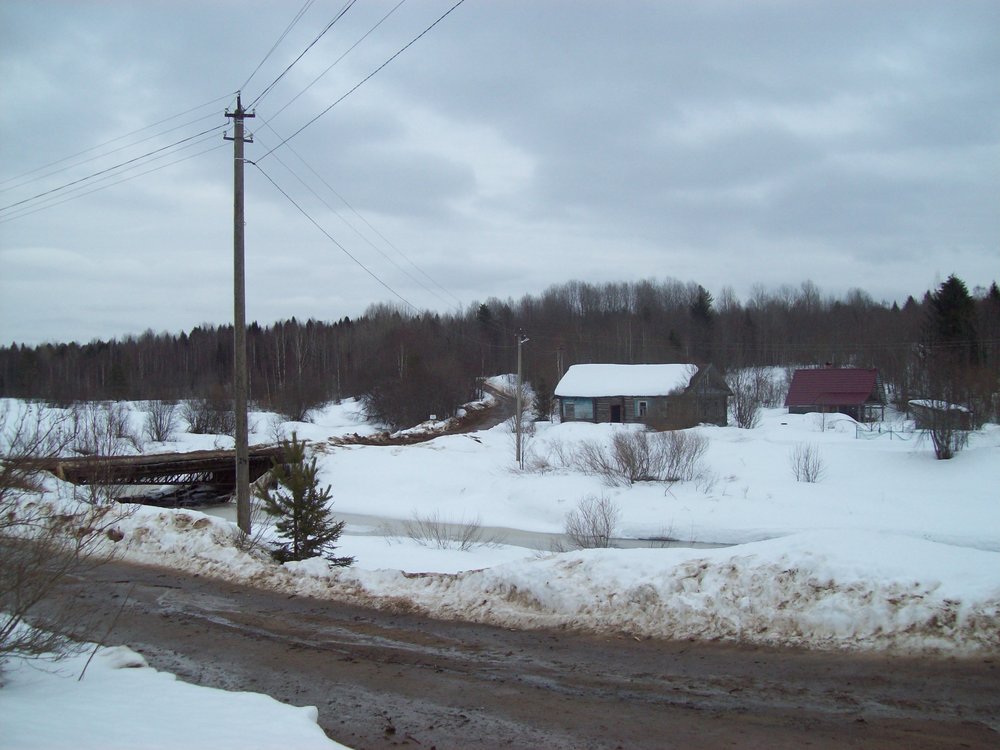 дорога в лес до Ояти 17км.JPG