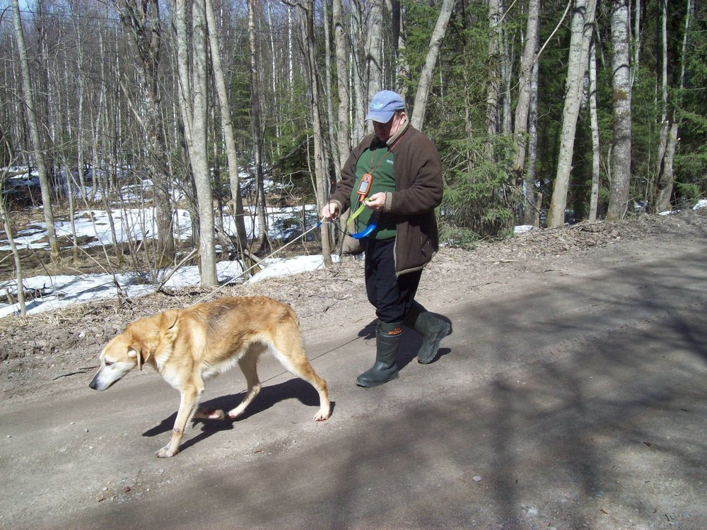 сосед с гончаком.JPG