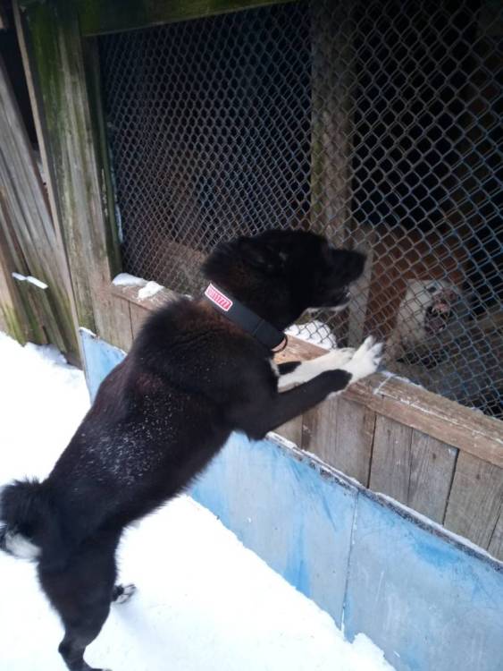 WhatsApp Image 2023-03-09 at 16.09.25.jpeg