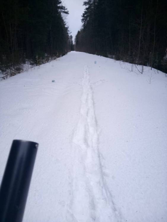 WhatsApp Image 2023-03-17 at 13.56.29.jpeg