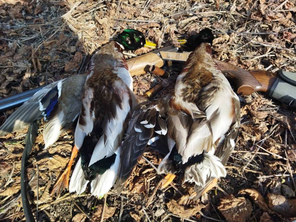 Изображение WhatsApp 2023-04-09 в 09.35.11.jpg