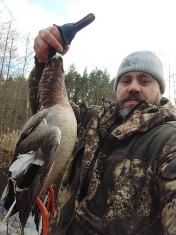 Изображение WhatsApp 2023-04-09 в 18.49.01.jpg