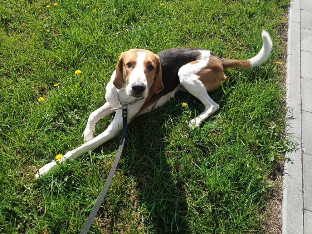 WhatsApp Image 2023-04-29 at 15.23.40.jpeg