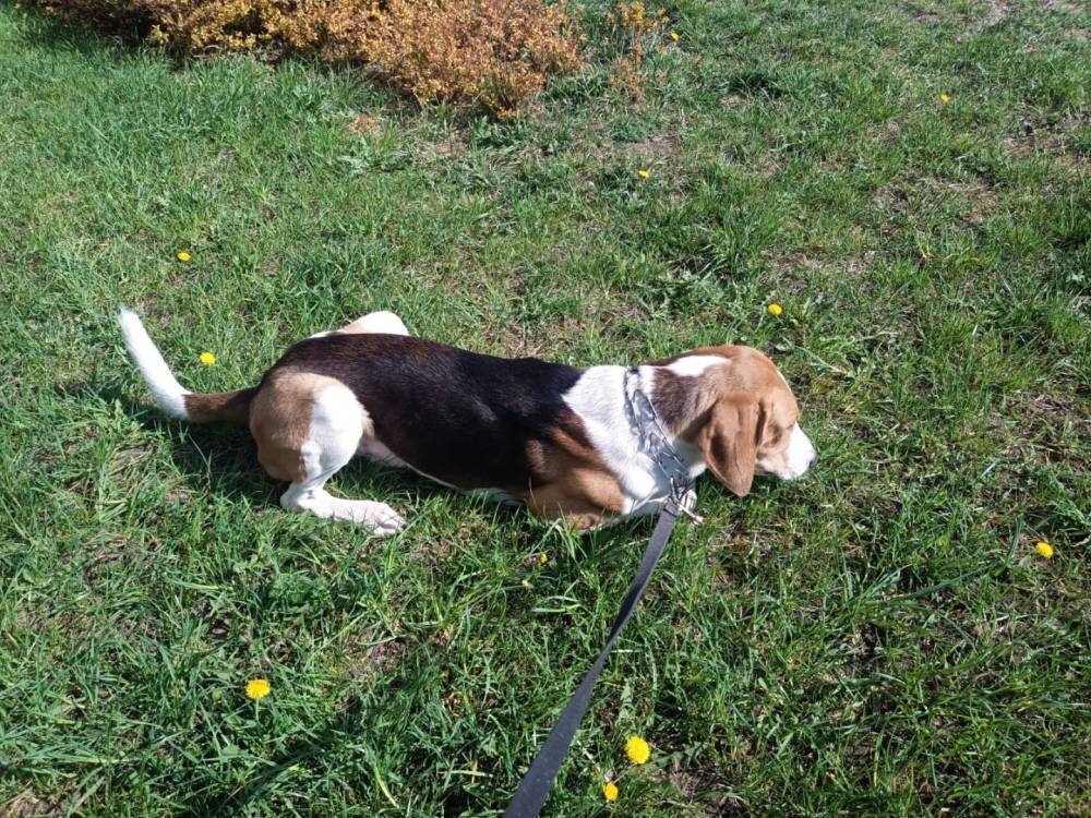 WhatsApp Image 2023-04-29 at 15.23.41 (1).jpeg