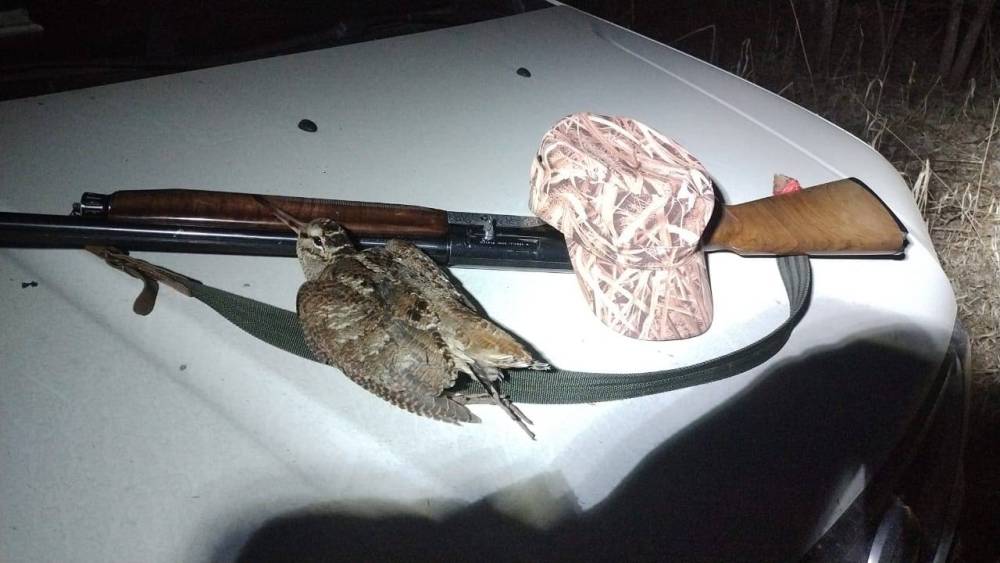 IMG-20230411-WA0016 (1).jpg