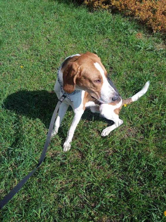 WhatsApp Image 2023-04-29 at 15.23.41.jpeg