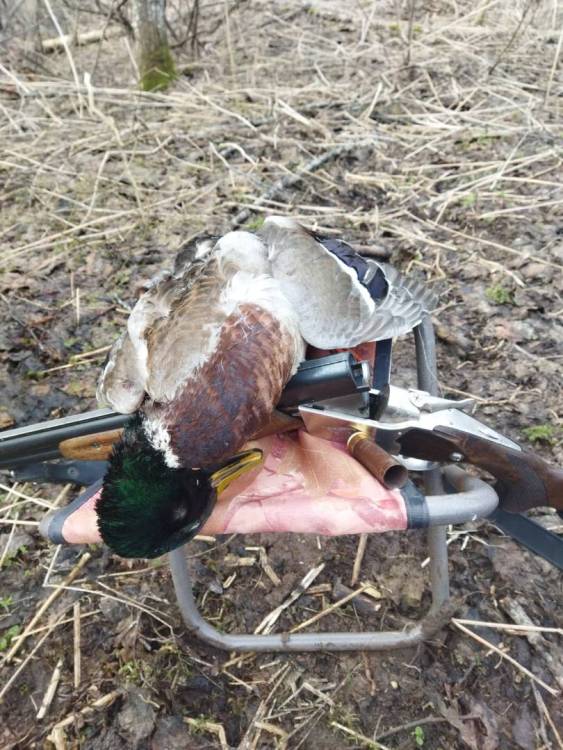 Изображение WhatsApp 2023-04-09 в 09.36.33.jpg