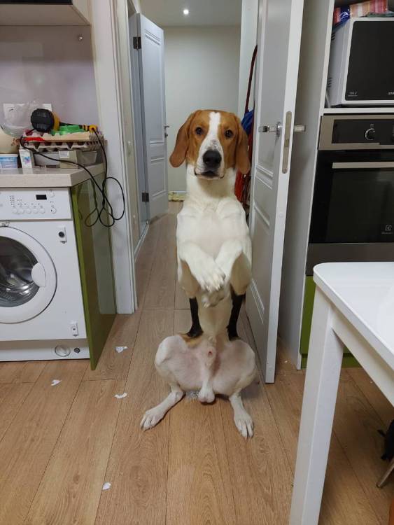 WhatsApp Image 2023-04-29 at 15.25.22.jpeg