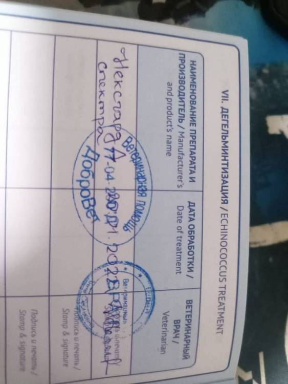 WhatsApp Image 2023-04-30 at 23.45.16 (1).jpeg