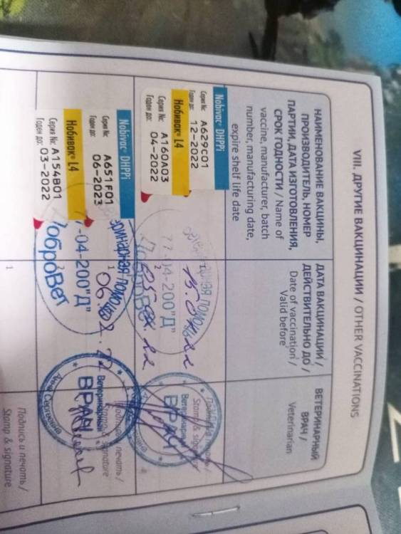 WhatsApp Image 2023-04-30 at 23.45.16 (2).jpeg