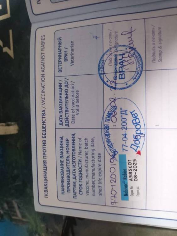 WhatsApp Image 2023-04-30 at 23.45.16.jpeg