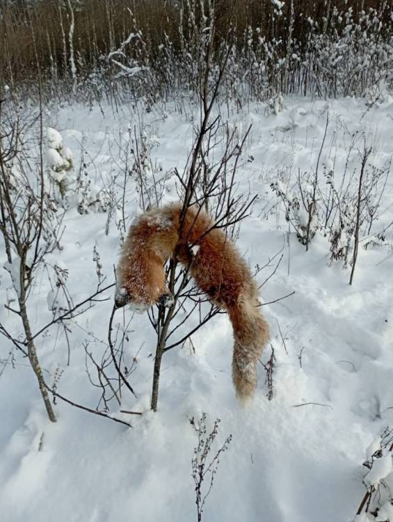 WhatsApp Image 2023-11-23 at 18.32.15.jpeg