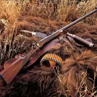 Андрей Гончаров